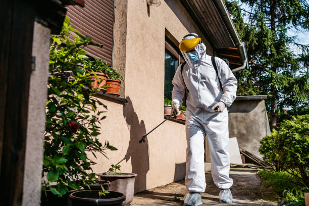 Best Best Pest Control Companies  in Bloomingdale, GA