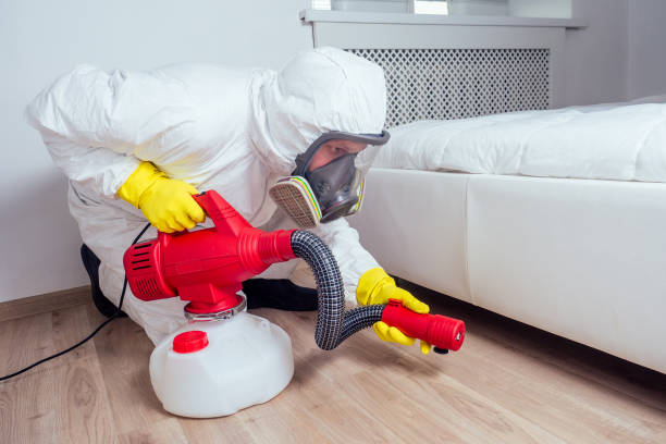 Best Emergency Pest Control  in Bloomingdale, GA