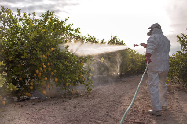 Best Pest Control for Restaurants  in Bloomingdale, GA