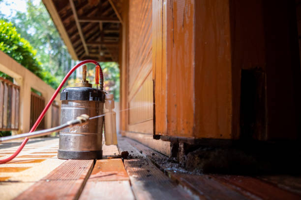 Best Pest Prevention Services  in Bloomingdale, GA