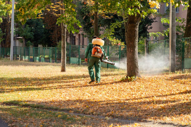 Best Best Pest Control Companies  in Bloomingdale, GA