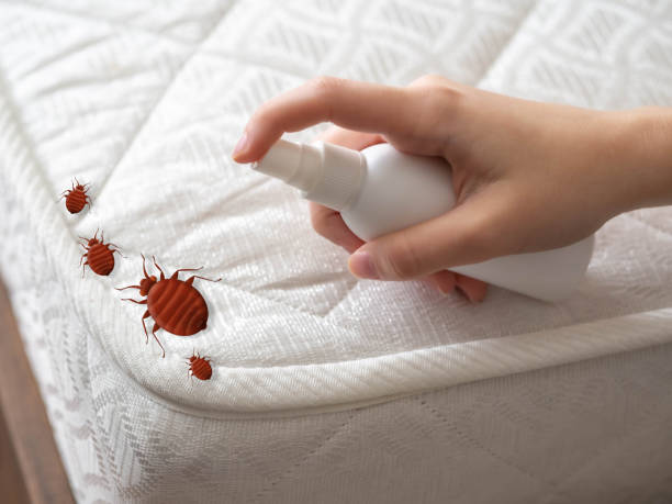 Best Wasp Removal Services  in Bloomingdale, GA