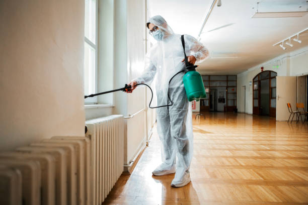 Best Mosquito Control Services  in Bloomingdale, GA